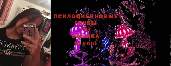 первитин Алексеевка