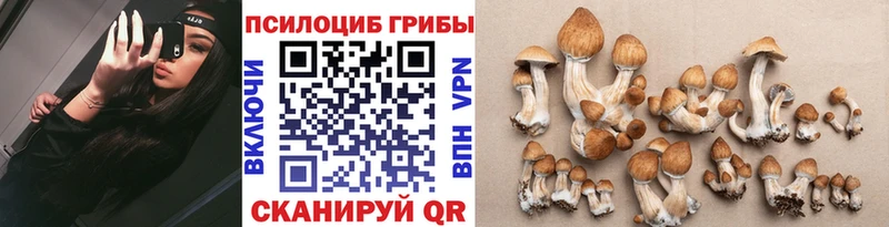 купить наркотик hydra зеркало Галлюциногенные грибы MAGIC MUSHROOMS Сасово